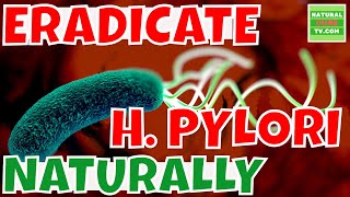 H PYLORI How to Completely Eradicate Them Off Your Gut [upl. by Ahkeber]