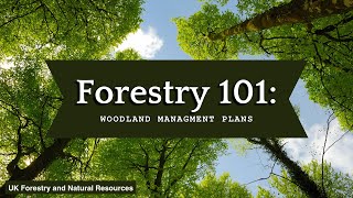 Forestry 101 Woodland Management Plans [upl. by Mcquoid126]