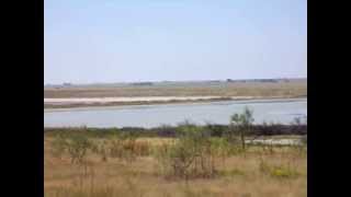 Muleshoe Wildlife Game Refuge Home to Sandhill Cranes [upl. by Ranita860]