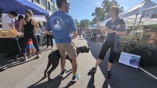 Brutus at Cary Farmers Market [upl. by Trebreh]