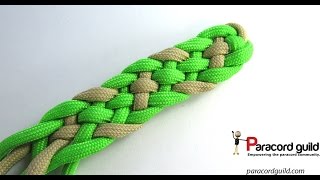 6 strand flat braid [upl. by Ainitsirk]