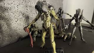 Hiya Toys AVP Requiem Predalien [upl. by Yenal901]