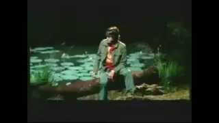 Kya Mujhe Pyaar Hai Copied From This Indonesian Song [upl. by Ahsatsan28]