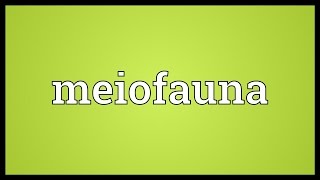 Meiofauna Meaning [upl. by Ellehcin]