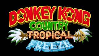 Grassland Groove Beginning Donkey Kong Country Tropical Freeze OST [upl. by Ahsietal]