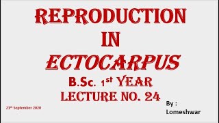 Plant Biodiversity Reproduction in Ectocarpus [upl. by Eetnom168]