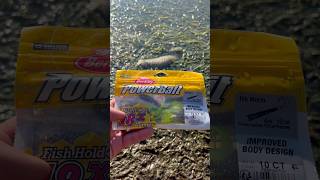 Berkley powerbait fishing worms [upl. by Erda]