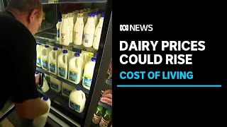 Prices could rise as dairy farmers feel rising production costs  ABC News [upl. by Airehtfele]