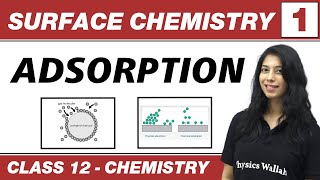 Surface Chemistry 01  Adsorption  Class 12 NCERT [upl. by Ateerys]