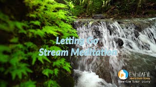 🌿 Letting Go Stream 🌿 [upl. by Cynarra898]