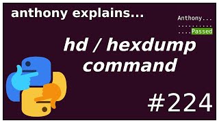 showing actual file bytes with hexdump beginner  intermediate anthony explains 224 [upl. by Isobel340]