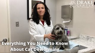 Everything You Need to Know About Cat Deworming [upl. by Hardwick]