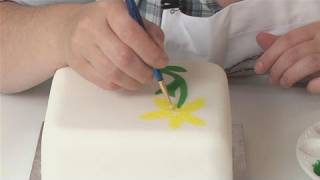 How To Paint On Your Fondant [upl. by Golter133]