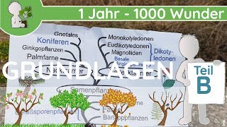 📚 1 Jahr  1000 Wunder  Grundlagen Teil B Pflanzen AufbauTeile  BotanikGrundlagenWissen [upl. by Whale923]