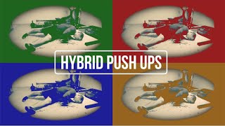 Ido Portal Beginner Exercises Lizard Crawl Push Ups [upl. by Sirraj385]