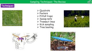 OCR Gateway A B611 and B612  Sampling Techniques [upl. by Gnas]