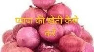 प्याज की खेती कैसे करें [upl. by Idissac]