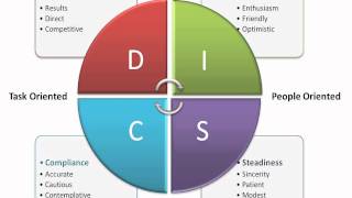 DISC Assessment [upl. by Akkina]