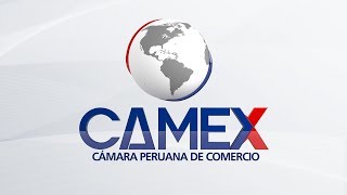 CAMEX PERU  Rubén Bermúdez [upl. by Hachmann461]