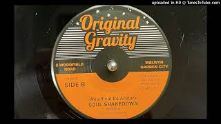 Woodfield Rd Allstars  Soul Shakedown Original Gravity 2024 [upl. by Yrelle894]