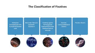 A Brief Guide to Tissue Fixation [upl. by Teddie]