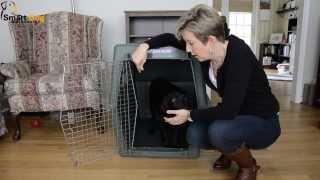 How to Crate Train Your Dog [upl. by Negah]