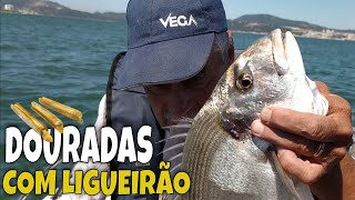 DOURADAS NO RIO COM LINGUEIRÃO COM CASCA  VIDEO PESCA À DOURADA [upl. by Nnyrat458]