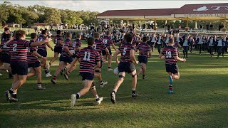 TSS Rugby First XV  2024 Highlights [upl. by Acissev]