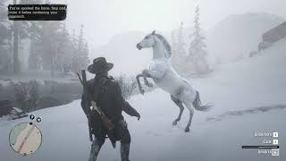 Red Dead Redemption 2 PC  Taming the White Arabian Horse Elite Handling [upl. by Clementis]