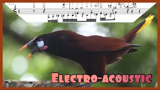 Montezuma Oropendola Vocalization in Sheet Music [upl. by Rochette841]