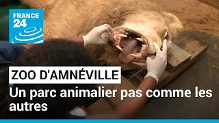 Zoo dAmnéville  aux petits soins des animaux • FRANCE 24 [upl. by Dupin]