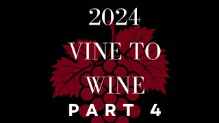 2024 Vine to Wine Series Part 4 [upl. by Lorna]