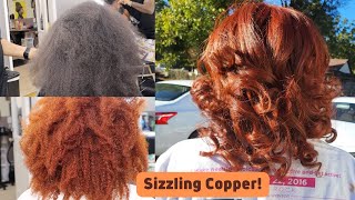 Salonwork From Natural Black to Sizzling CopperWith NO Bleach  Beauty Desis Way [upl. by Yeldud912]