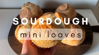 Sourdough Mini Loaves  Bread Bowls  Minis Version 1 [upl. by Siuqramed]