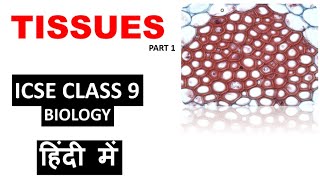 Project File on Animal Tissue for Class 9101112 Science [upl. by Yttap944]