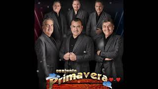 Conjunto Primavera☆Exitos Inolvidables [upl. by Thormora656]