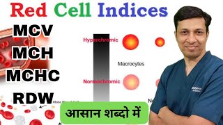 Red cell indices made easy in hindi  MCVMCHMCHCRDW [upl. by Zohar]