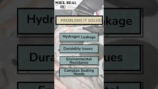 NielSeal From PSC  Gasket amp Joint Sealing Compound  Tackling Leaks and Its Applications [upl. by Boice]