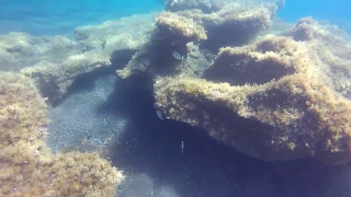 Taking a dive at Kamari Beach Santorini 2017 HD [upl. by Namielus]