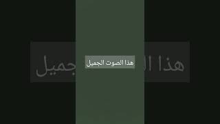 ١٤ نوفمبر، ٢٠٢٤ [upl. by Aderb]