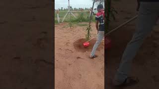 Backpack Brush Cutter  Weeder Attachment [upl. by Karlyn]