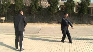 MasterQian Zhaohong  Xin Yi Liu He Quan style In Chinavideo1m4v [upl. by Vivian379]