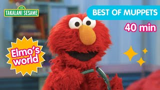 Elmo and Zuzus Creative Music Party  Takalani Sesame [upl. by Vern683]