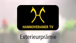 Hannoveraner TV Exterieurprämie [upl. by Tilford]