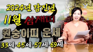 도연사 2024년 갑진년 11월 원숭이띠🐵 운세 33세·45세·57세·69세 2024년 운세 띠별운세  원숭이띠 11월운세 11월운세 도연보살 월별운세 [upl. by Atiek190]