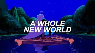 a whole new world from aladdin lyric video [upl. by Akerehs]