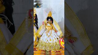 Krishna devotees Durga Pujo Dosomi ytshorts shorts ashortaday shortsfeed [upl. by Einttirb]