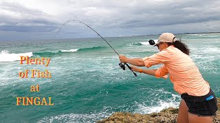 Awesome fishing at Fingal Head  NSW  Rock fishing [upl. by Brandwein]