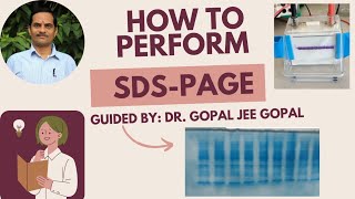 How to perform SDSPAGE [upl. by Kordula195]