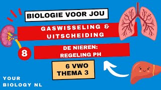 6 vwo  Gaswisseling amp Uitscheiding  8  De nieren regeling pH [upl. by Borer681]